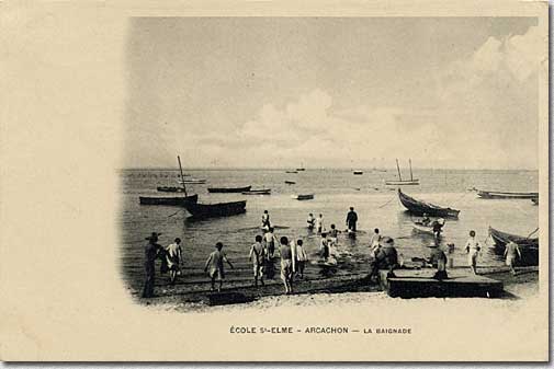elm11